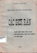 Các giới răn - Thần học luân lý chuyên biệt