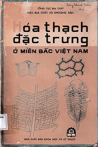 Hóa thạch đặc trưng ở miền Bắc Việt Nam