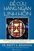 Để cứu hàng ngàn linh hồn - Hướng dẫn phân định ơn gọi linh mục giáo phận