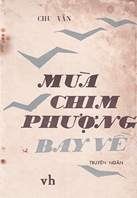 Mùa chim phượng bay về