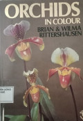 Orchids in colour