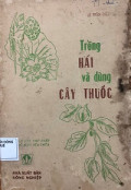 Trồng hái và dùng cây thuốc