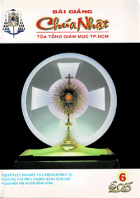 Bài giảng Chúa nhật (6/2015)