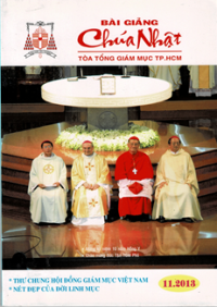 Bài giảng Chúa nhật (11/2013)