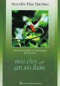 Mùa chay và con sâu bướm - 100 đề tài suy niệm và cầu nguyện