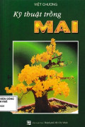 Kỹ thuật trồng mai