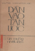 Dẫn vào Tân ước - Tin Mừng nhất lãm