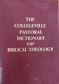The collegeville pastoral dictionary of Biblical Theology