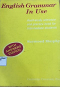 English Grammar In Use