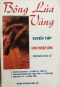 Bông lúa vàng