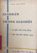 Giáo dân trong Giáo Hội - Từ giáo huấn công đồng đến một kinh nghiệm